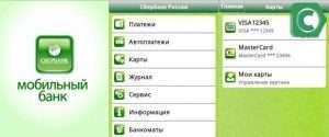 mobilnyj-bank-sberbanka-dlja-karty-visa-polnoe-rukovodstvo